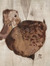 Merlin Wol