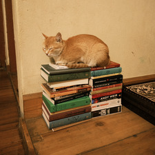 Kinley