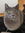Viivi