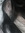 Whin