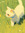 karu
