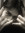 tocas