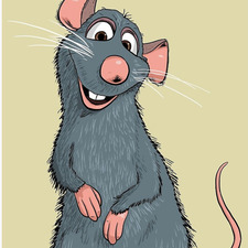 Remi S.
