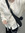 member photo member photo