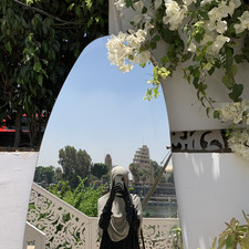 زَنوبيا