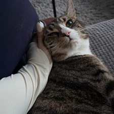 Nelly