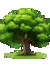 Anu