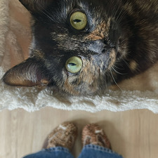 jenni :)