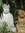 member photo member photo