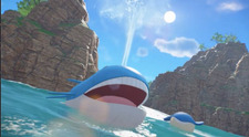 WhaleFace