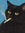 bookteeth
