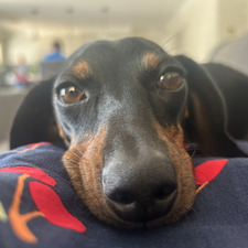 Angela