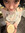 Jess