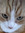 member photo member photo