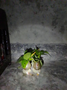 OM MAHA SHARBA YAMA MANASHA MRITTUNJAY  MAHA SHARBA YAMA KUBER LAKSHMI SWRASWATI 