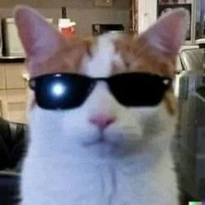 Oli