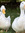 Fam ✨