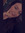Emily Rose