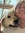member photo member photo