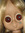 jess