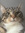 member photo member photo