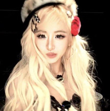 lysa ₍^. .^₎Ⳋ
