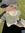 member photo member photo