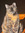 member photo member photo