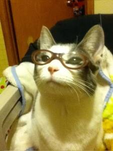 Atticus 