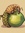 TheReadingWeevil