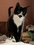 Anouk