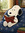 member photo member photo