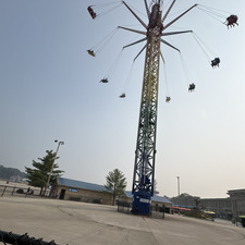 molly Smith