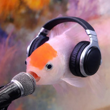 ᶜᵒʳʷⁱⁿ