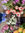 member photo member photo
