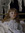 ELIZABETH