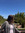 Lauren Addis
