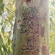 سكران اللحظ معربده