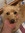 Hiago