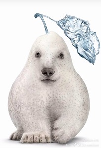 feranda 