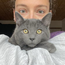 chlou