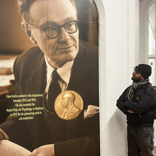 Apu B