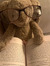 bookgirlA