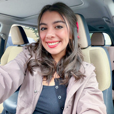 Dani