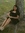 melany