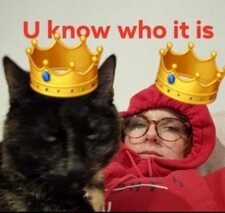 Dinnydae