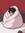 Moth The  Cryptid 