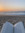 EmelineBooks