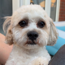 Maddie