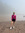 Rachel Hummel